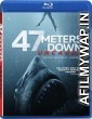 47 Meters Down: Uncaged (2019) Hindi Dubbed Movie