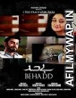 Behadd (2013) Urdu Full Movie