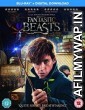 Fantastic Beasts (2016) Hindi Dubbed Movie