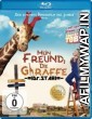 My Giraffe (2017) Hindi Dubbed Movies