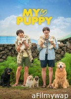 My Heart Puppy (2023) ORG Hindi Dubbed Movies