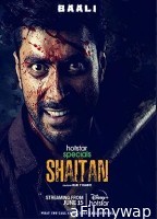 Shaitan (2023) Hindi Season 1 Complete Web Series