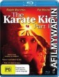 The Karate Kid III (1989) Dual Audio Hindi Dubbed Movie