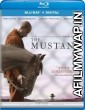 The Mustang (2019) Hindi Dubbed Movies